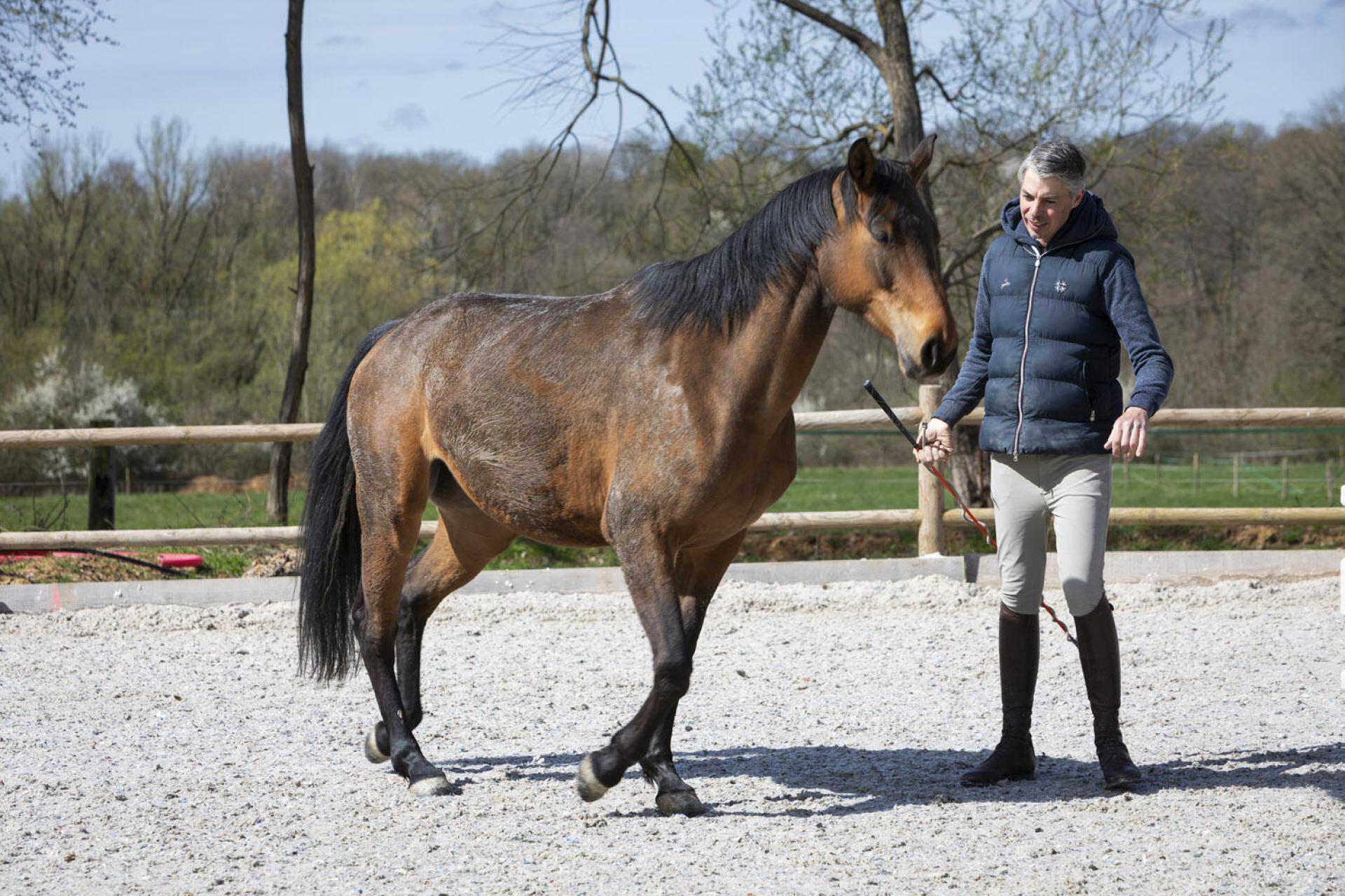 Cheval et son instructeur dans une aire d'évolution