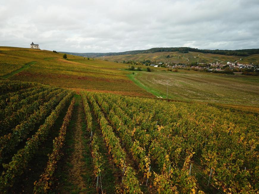 Eleveur portant un poulet dans ses mains