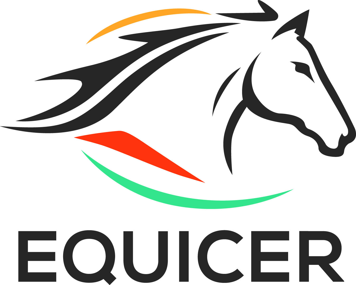 Logo EQUICER